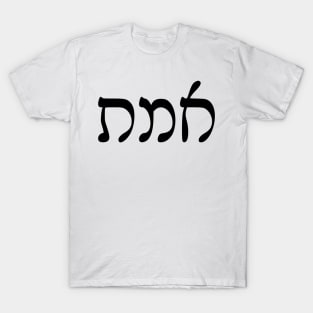 Emet - Truth (Rashi script) T-Shirt